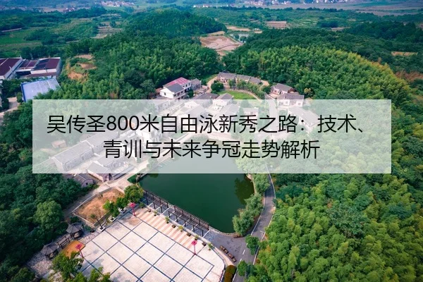 吴传圣800米自由泳新秀之路：技术、青训与未来争冠走势解析